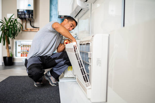 Air Duct Mold Removal in Hartington, NE