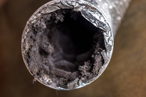 Best Best Air Duct Cleaning Company  in Hartington, NE