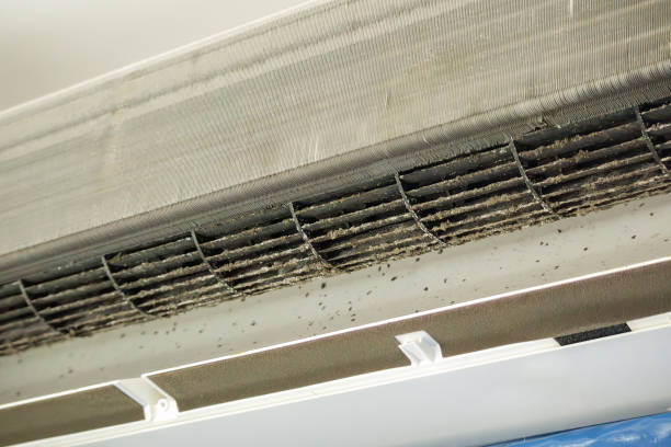 Best General Air Duct Cleaning  in Hartington, NE